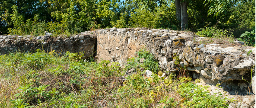 ruine Biserica Alba